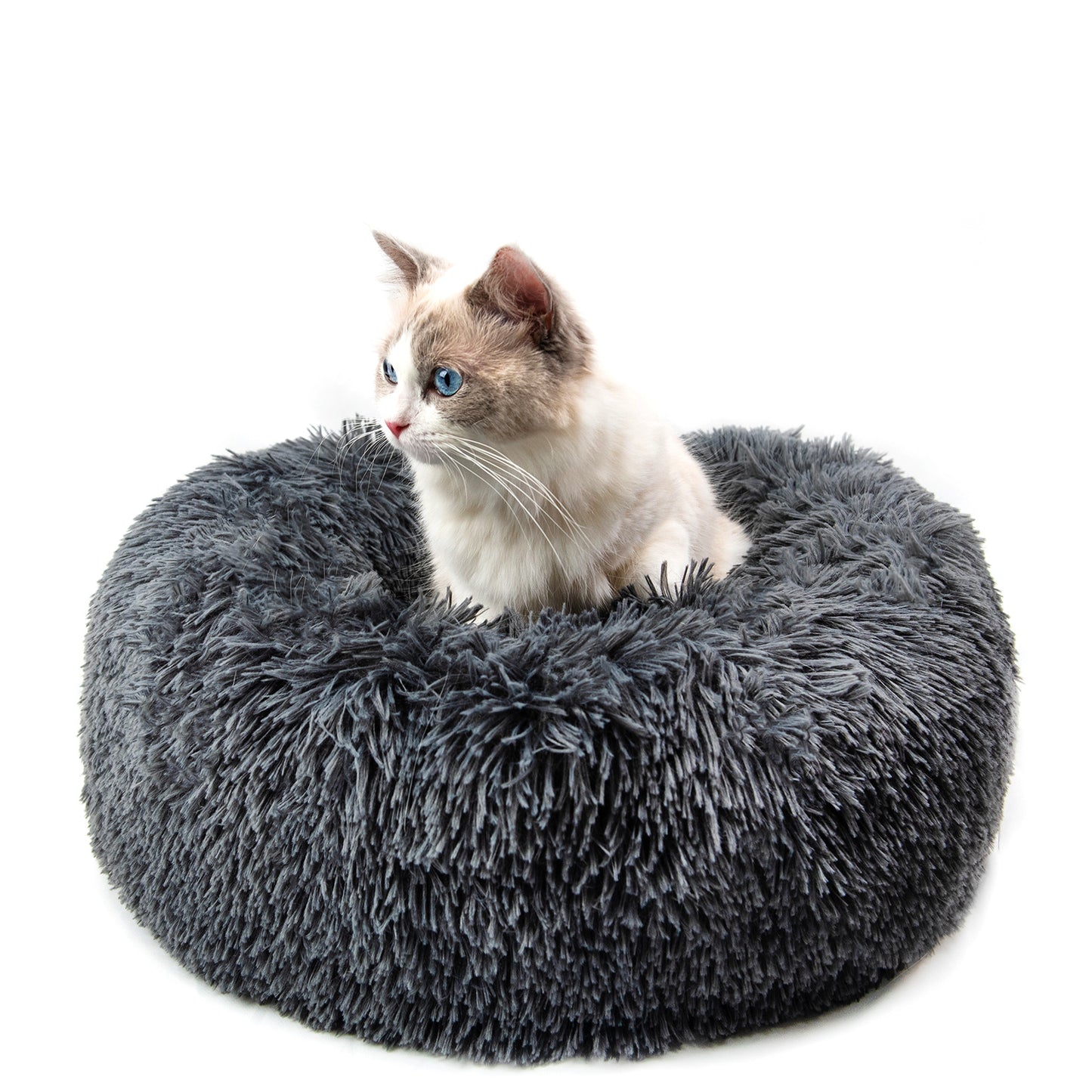 Round Plush Beds for Small Dogs & Cats