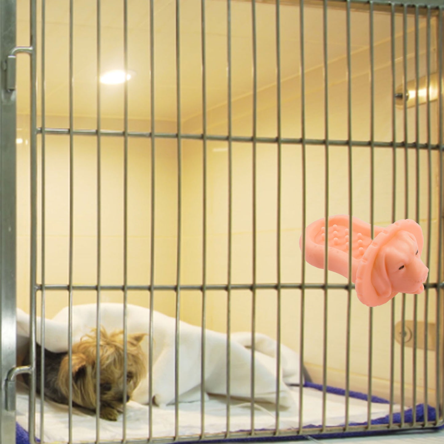 Relieve Pet Dog Bite Toy Feeder