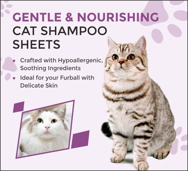 Cat Shampoo Sheets